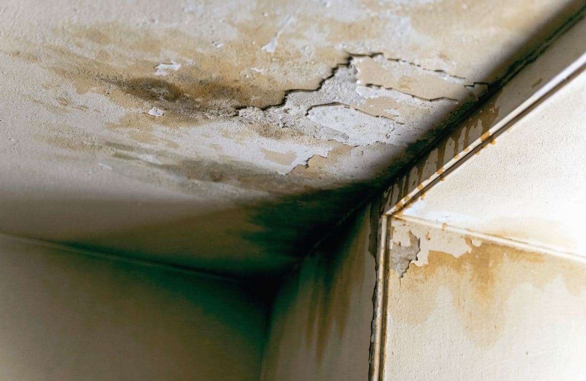Illustrative water infiltration damage spreading across a ceiling corner